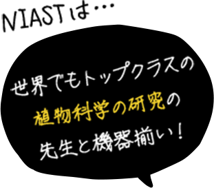 NIASTは... 世界でもトップクラスの植物科学の研究の先生と機器揃い